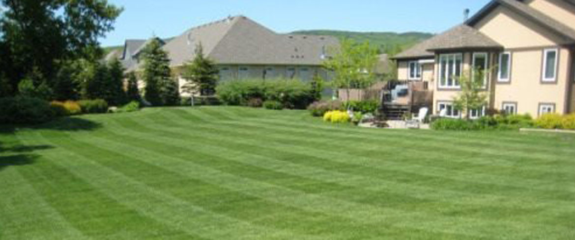 Lawn Care Maintenance & Mowing Services in Lawrence, Kansas