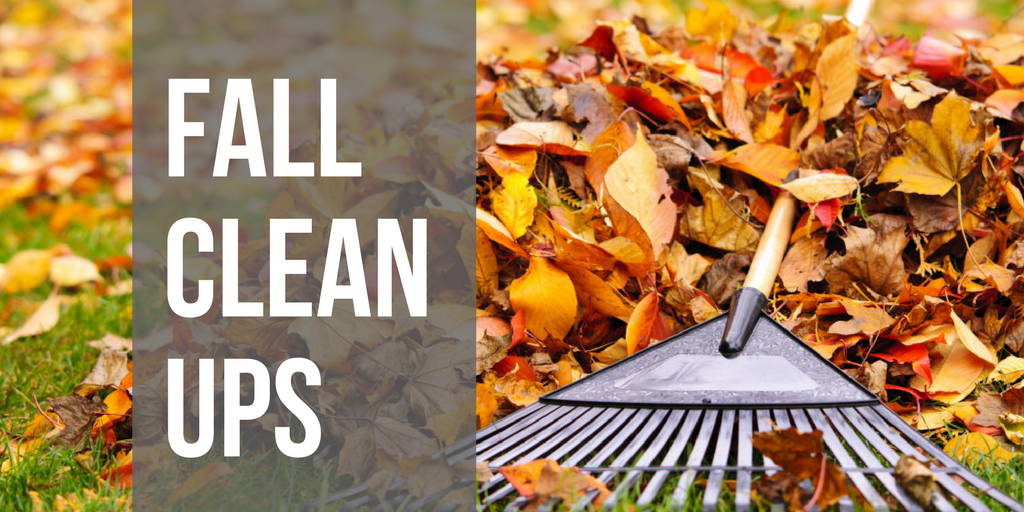 5 Important Fall Cleanup Tasks Lawrence, KS
