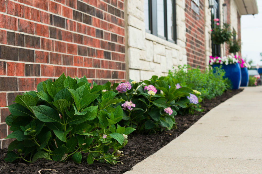 Commercial landscaping: Flower beds