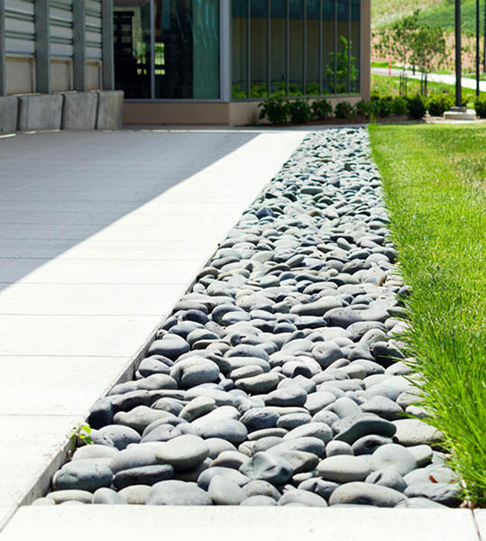 Commercial landscaping for a walkway
